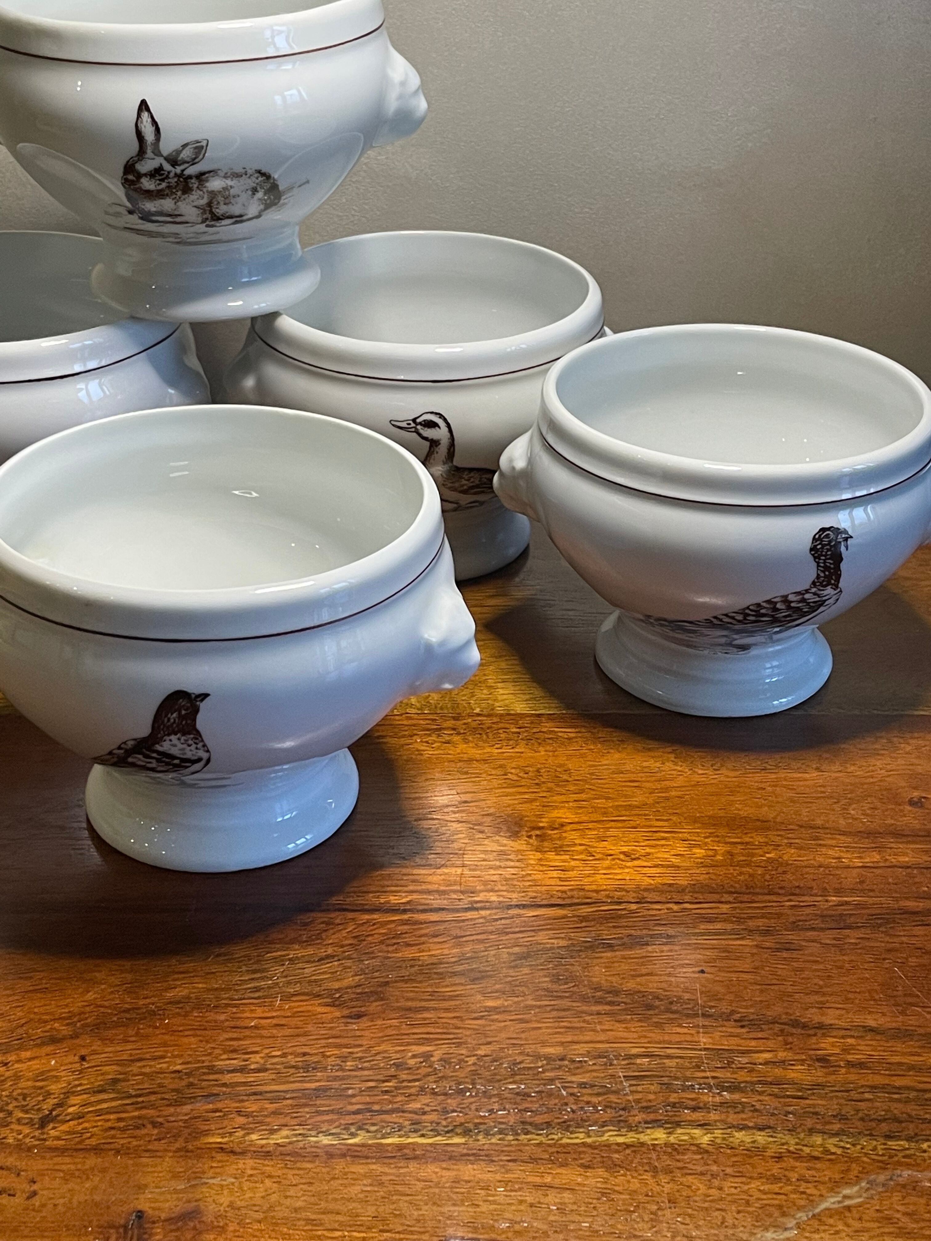 5 bowls to gratin soup porcelain fire Lourioux France