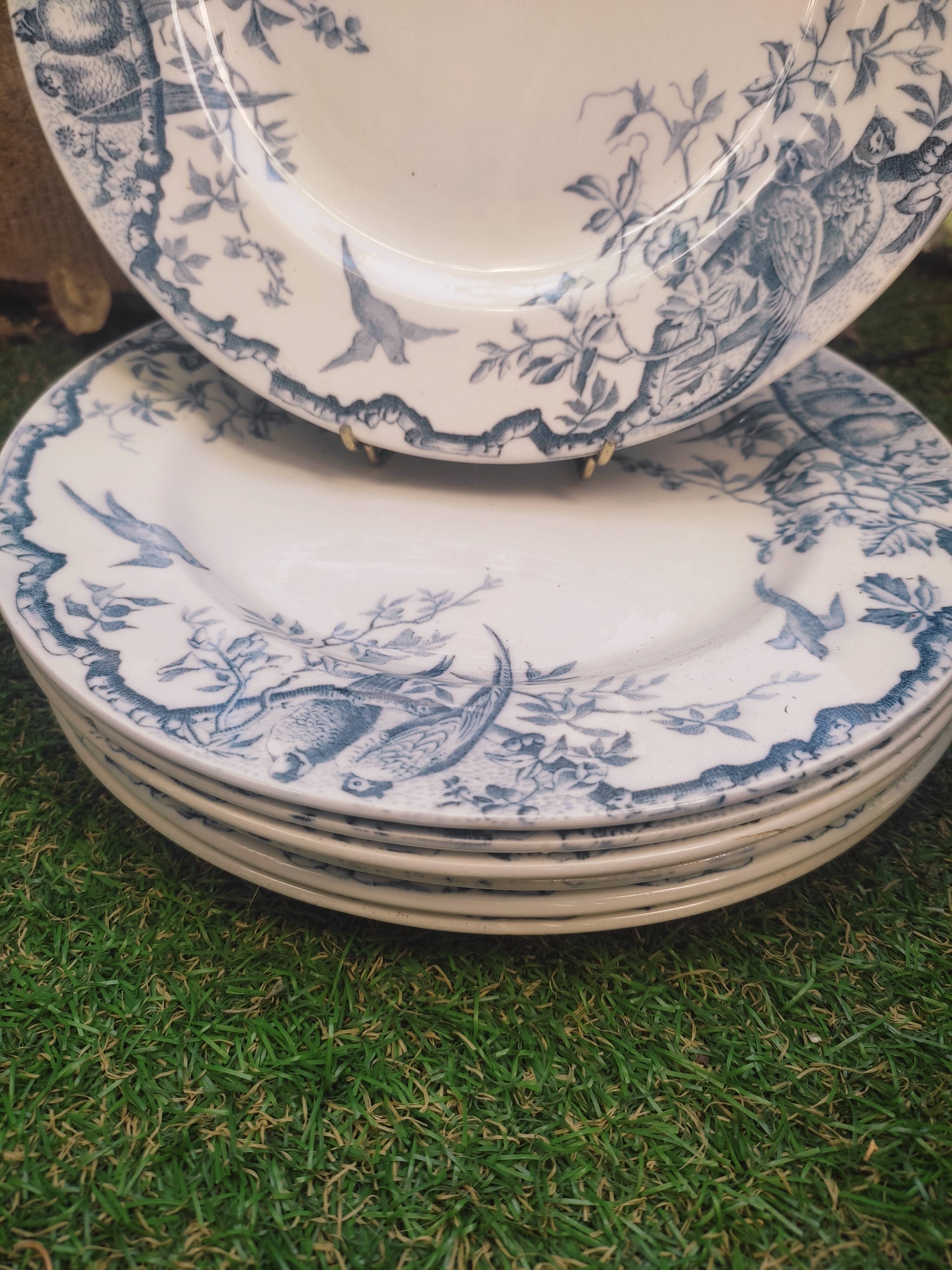 7 plates in earthenware with bird motifs by Lunéville