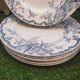 7 plates in earthenware with bird motifs by Lunéville