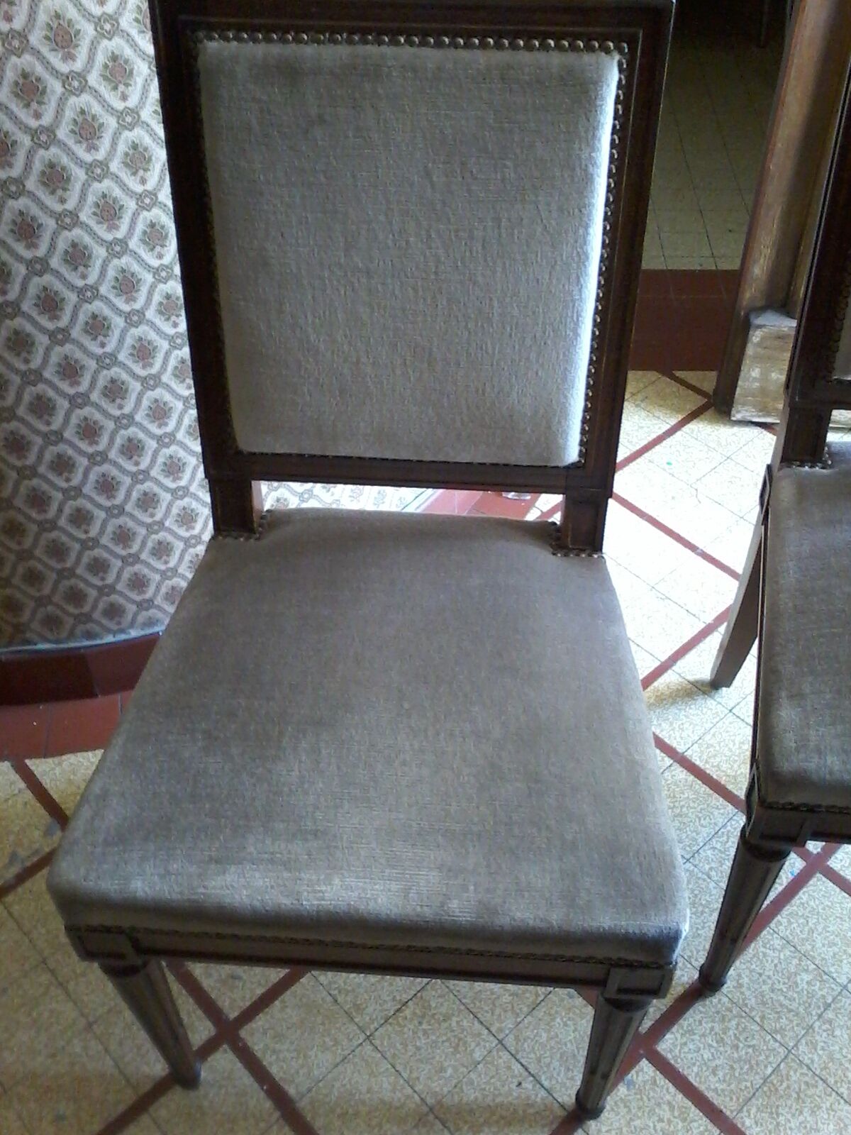 Velvet chairs from the years 1950