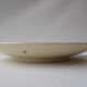 Exotic bird plate late 19th century - B & Cie Creil & Montereau