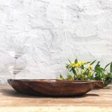 Teak-shaped teak appetizer cut