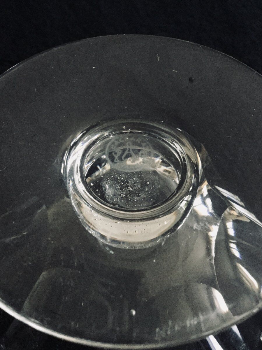 Lot de 5 coupes à champagne en cristal Baccarat modèle Talleyrand