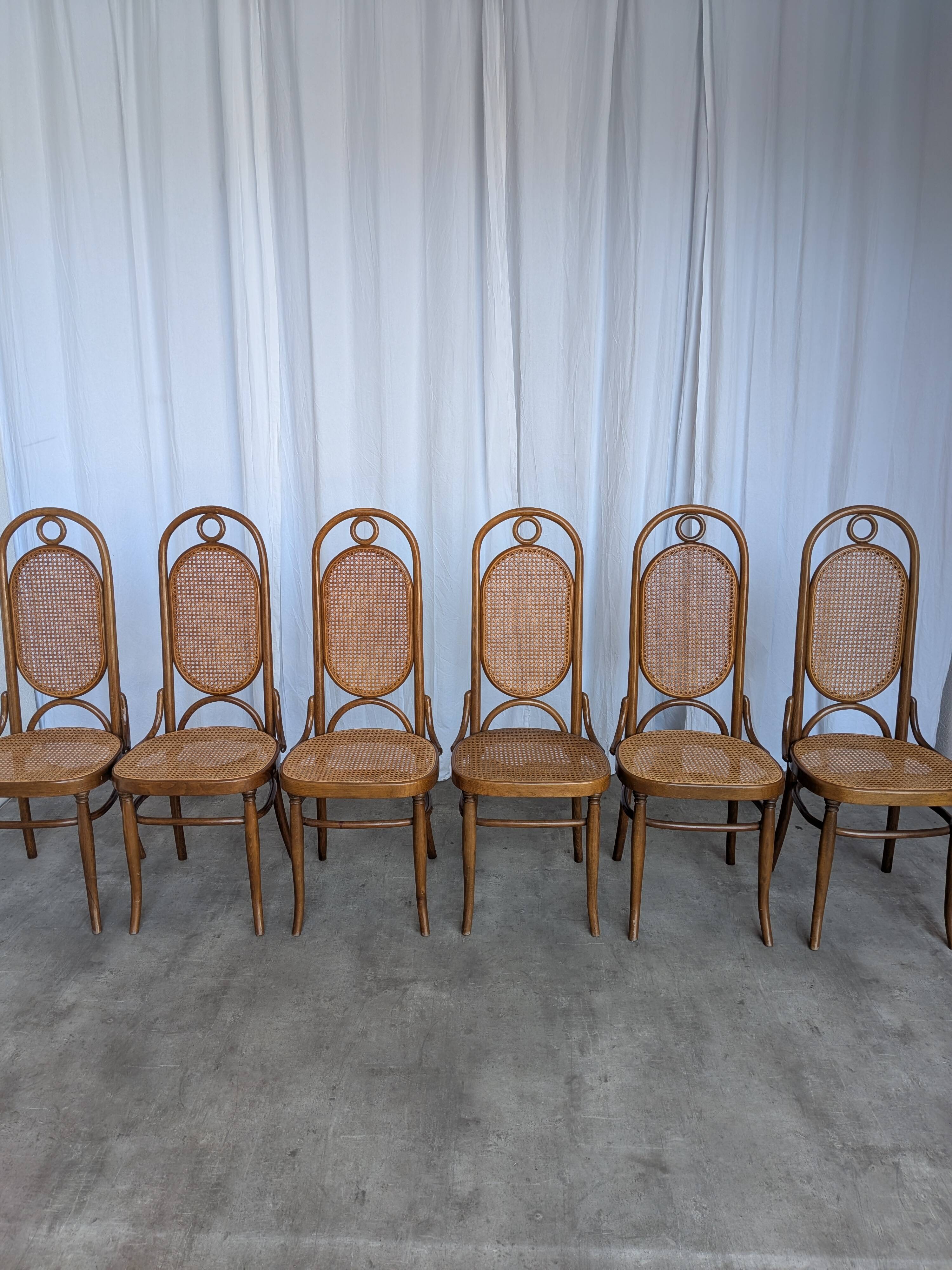 Set of 6 Mid-century Bentwood Cane Dining Chair, Thonet Style, 1970s Yugosl