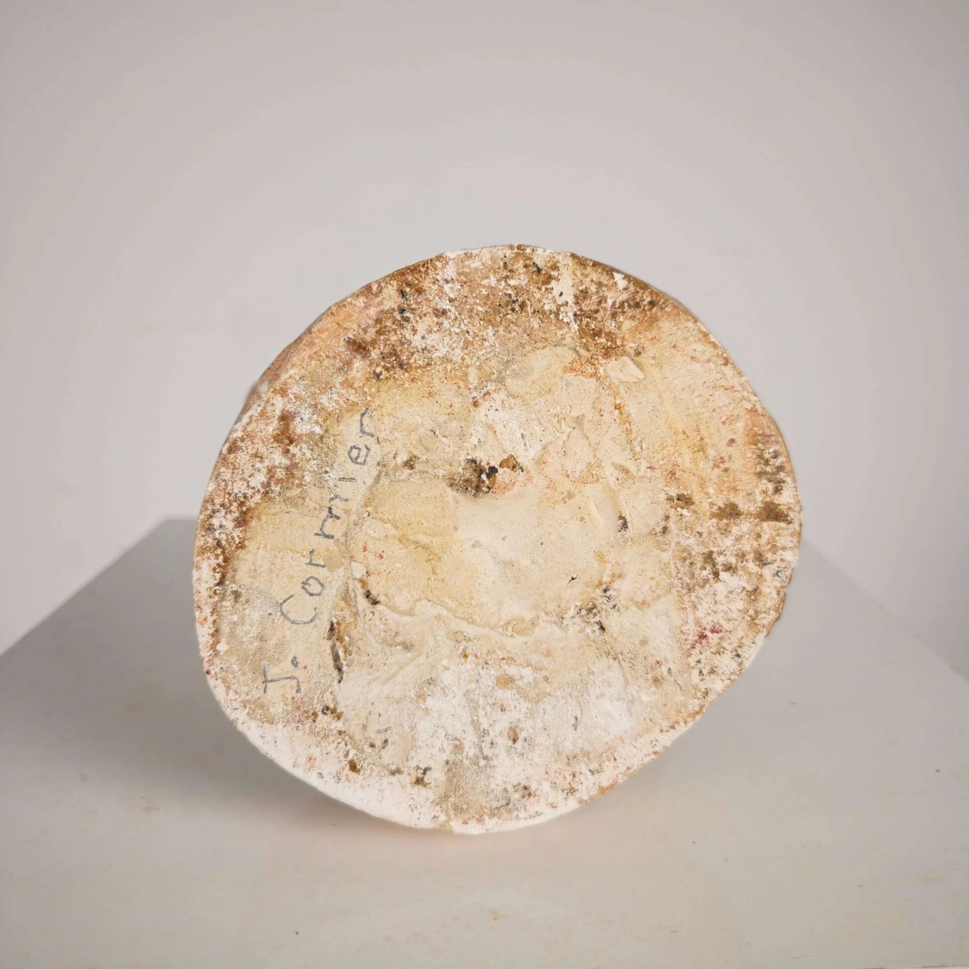 Modèle anatomique écorché – sculpture en plâtre