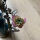 Superb Arras Lamp & Flower Faience - Silvered Bronze - Boler brand -