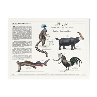 Chimeras lithograph animal engraving - botanical poster