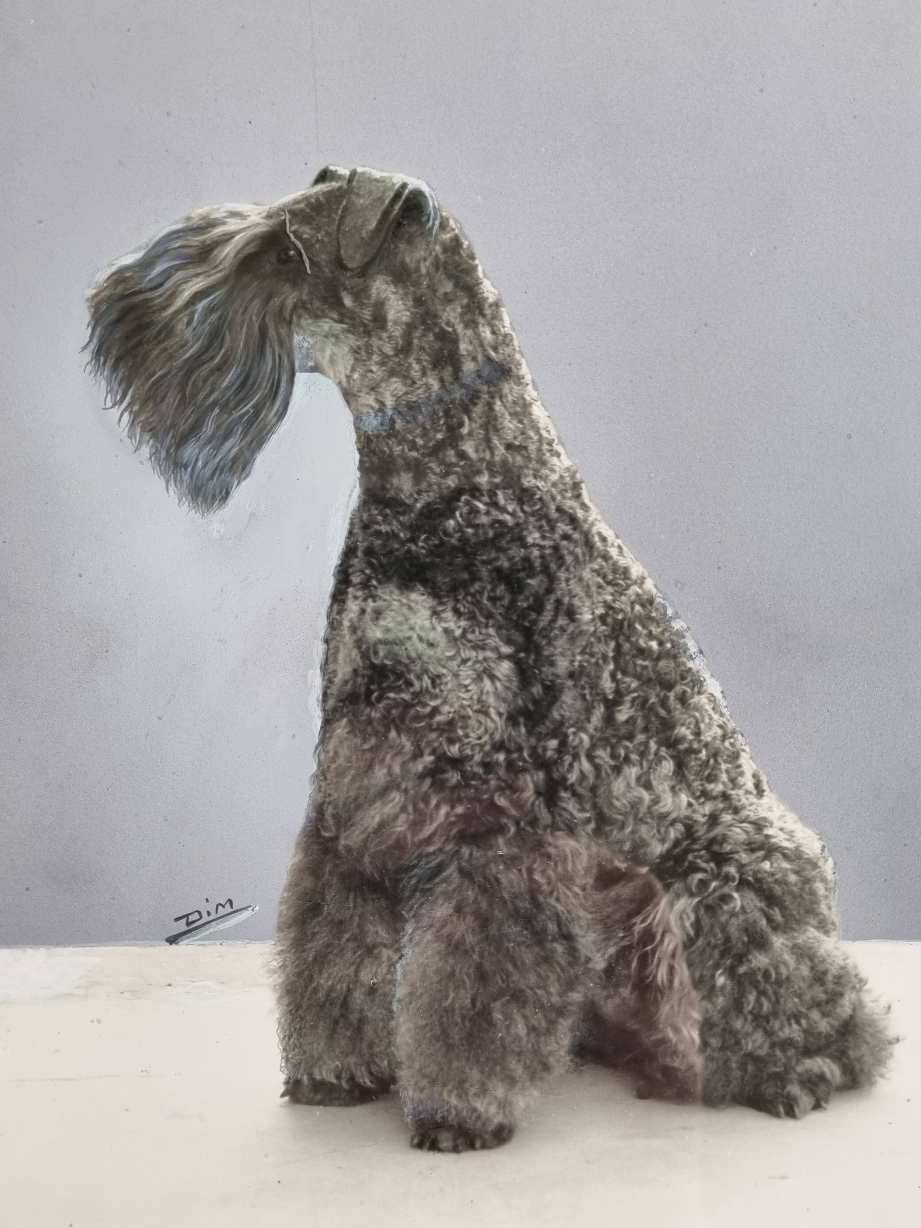 Black and white silver print, xanine silhouette, signed (Dim) Henri Dimont, 32 x 25 cm