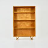 Cabinet by Cees Braakman for Pastoe, 1950s