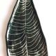 Anthurium dish
