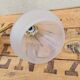 Brass and frosted glass wall lamp