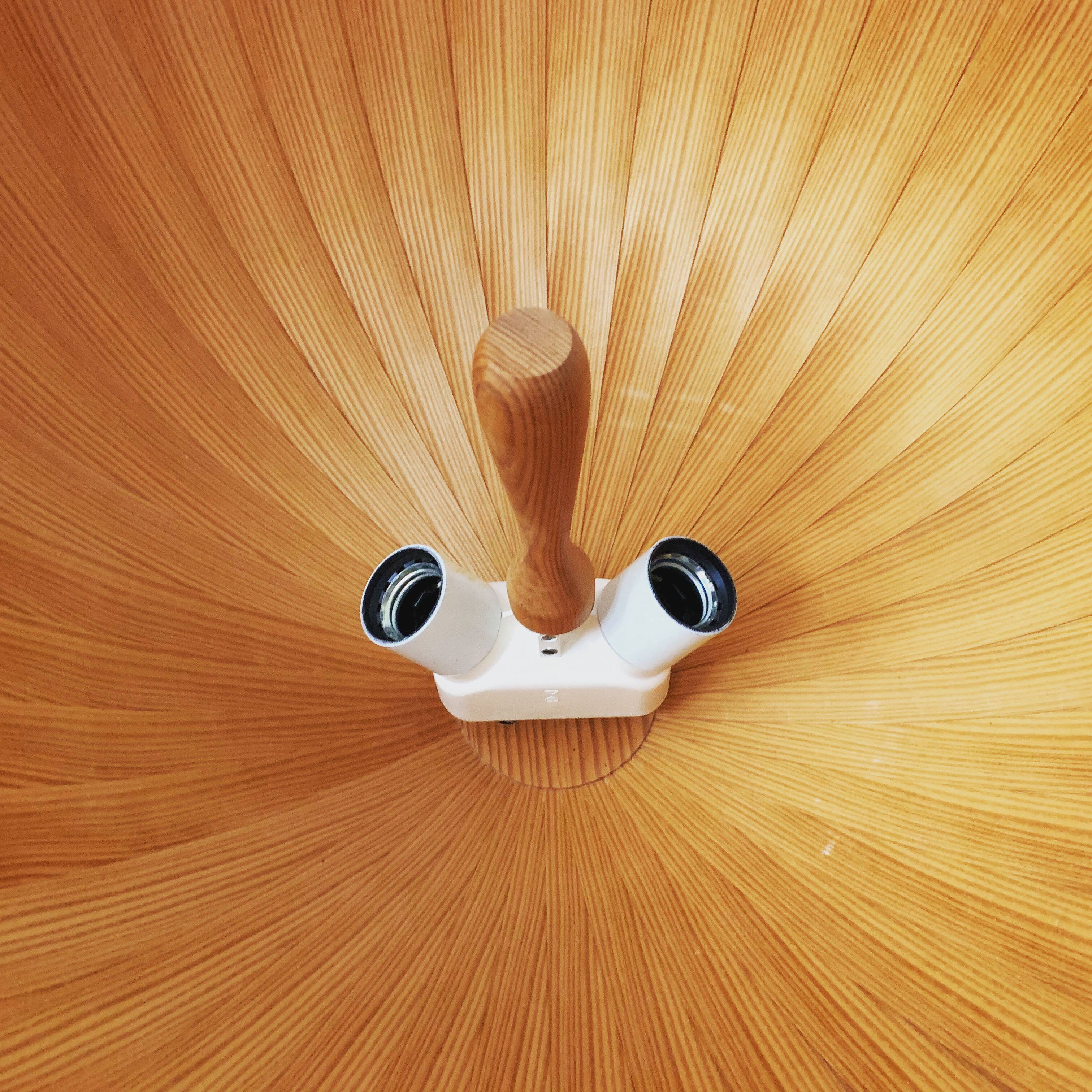 Large Wooden Pendant Lamp