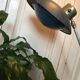 Lampe