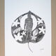 "eve" encre de chine