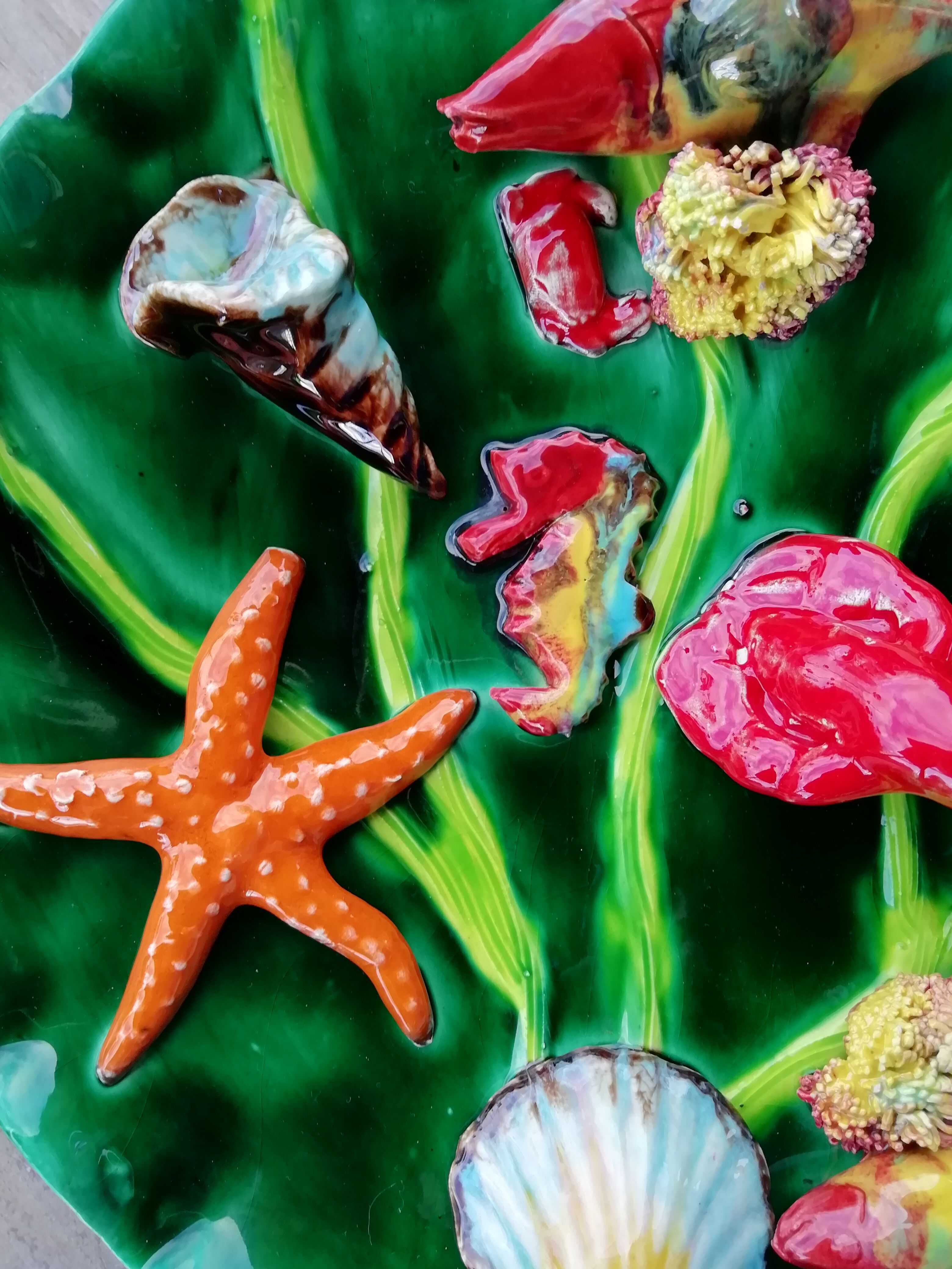 Wall plate marine animals