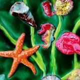 Wall plate marine animals