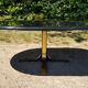 Osvaldo Borsani coffee table