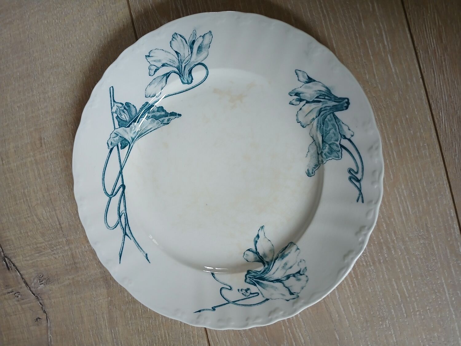 10 antique ironstone dinner plates