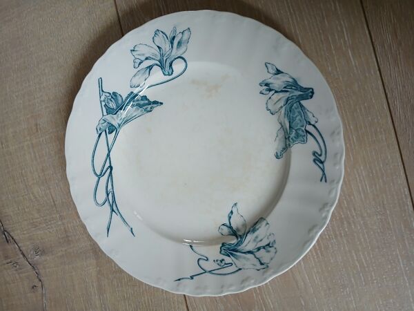 10 assiettes plates anciennes en Terre de fer