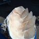 Tridacna shell (86 cm) – on base – rare and decorative