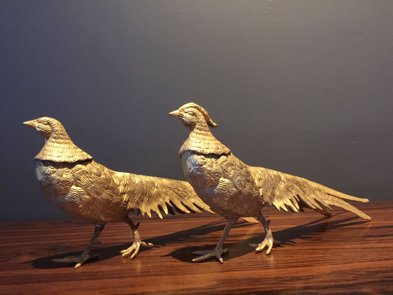 Pair of golden pheasants
