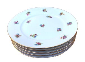 5 assiettes plates anciennes