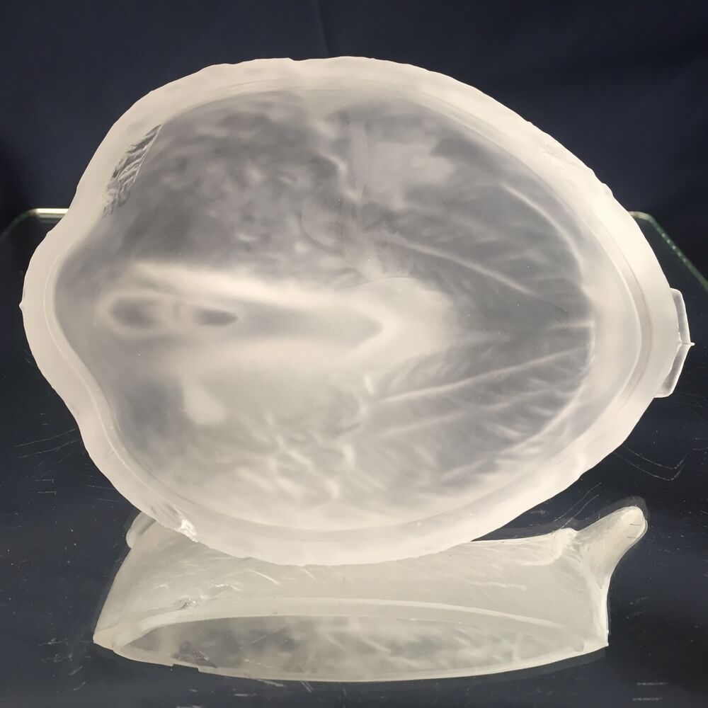 DUCK FROSTED GLASS BAG OR POCKET TRAY