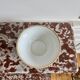 Saladier en porcelaine de Limoges
