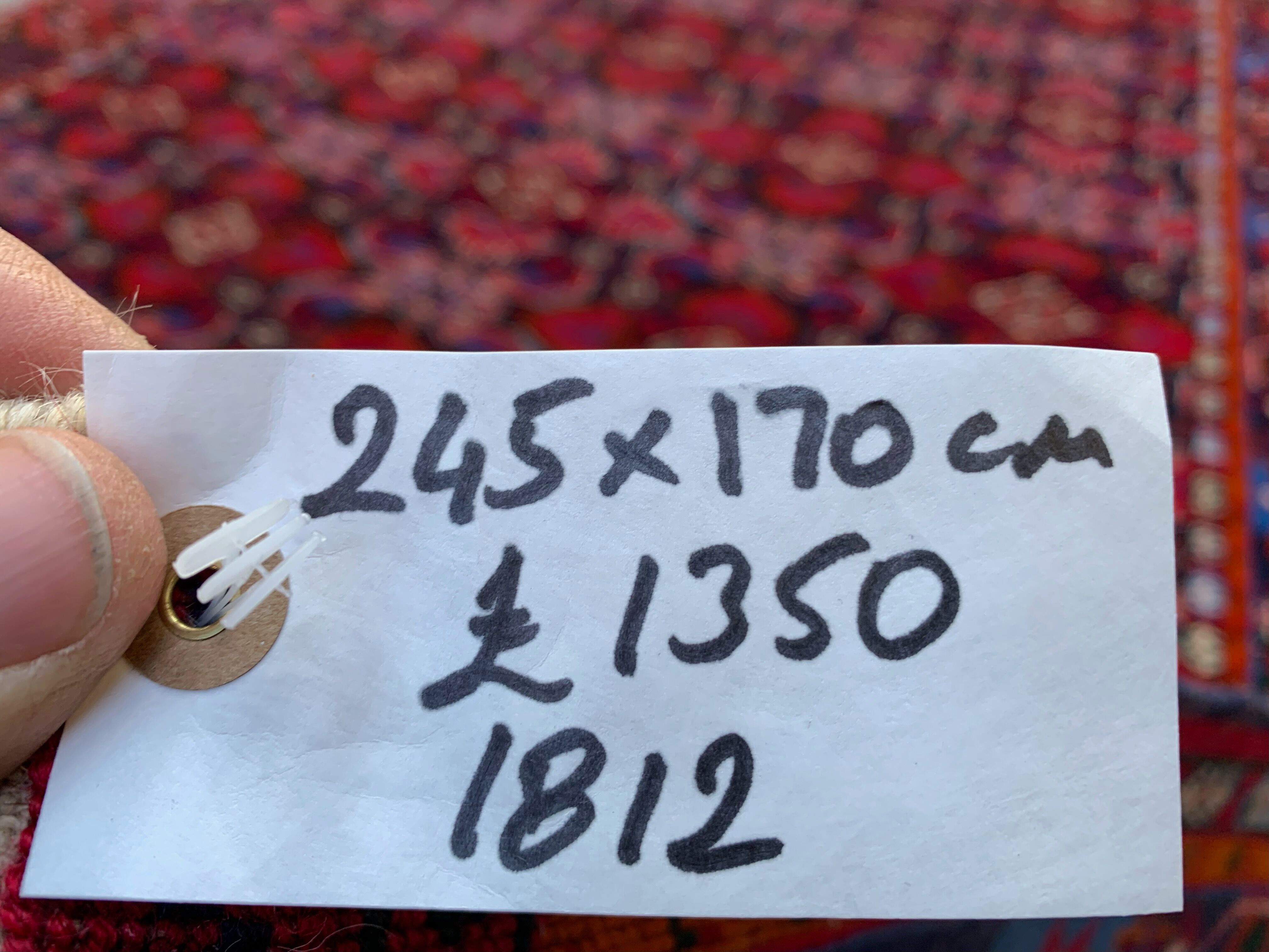 Vintage Turkoman Beshir Rug 245x170 cm