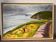 Récolte au bord de la mer, Lou Dolin 1994