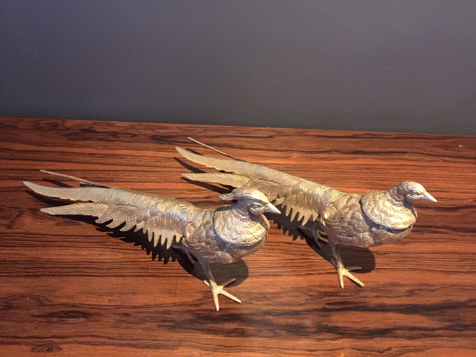 Pair of golden pheasants