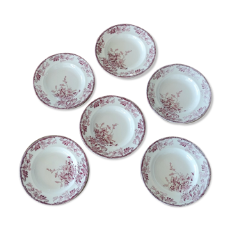 Set of 6 hollow plates Longwy Azalee