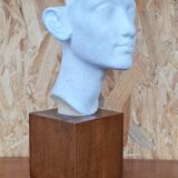 Bust of Nefertiti Louvre Museum Paris