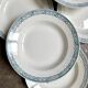 6 deep plates St Amand in blue ironstone