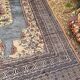 Vintage Persian Moud Carpet Handwoven Wool 240x160 Iran Oriental Old Salon