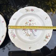 Plats Digoin Sarreguemines
