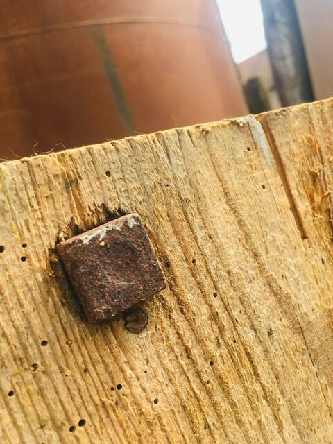 great set in '30s pretty pattine fir