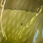 Vase en verre soufflé, Italie années 70/80