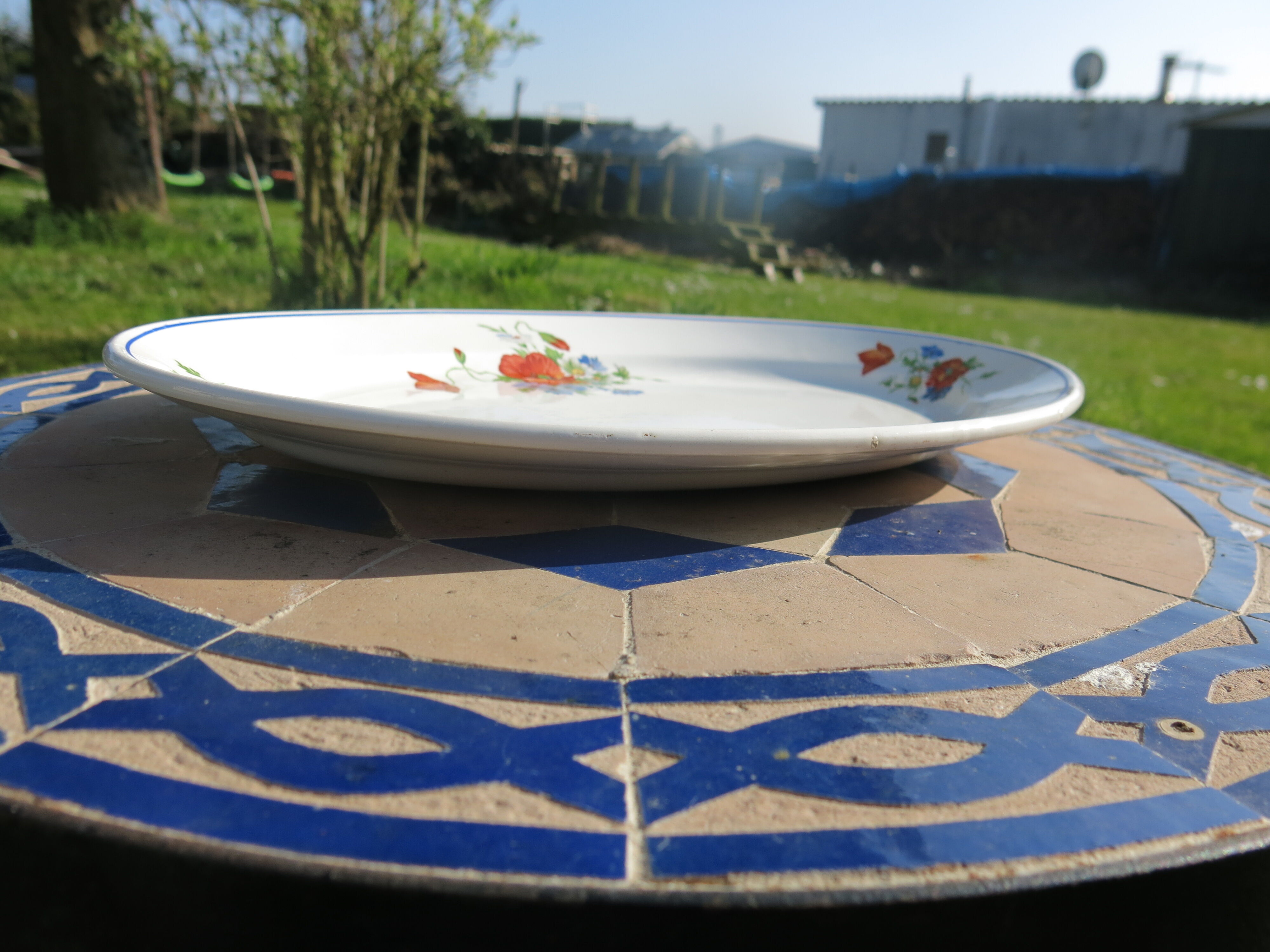 Serving dish/delight Salins les Bains poppy pattern