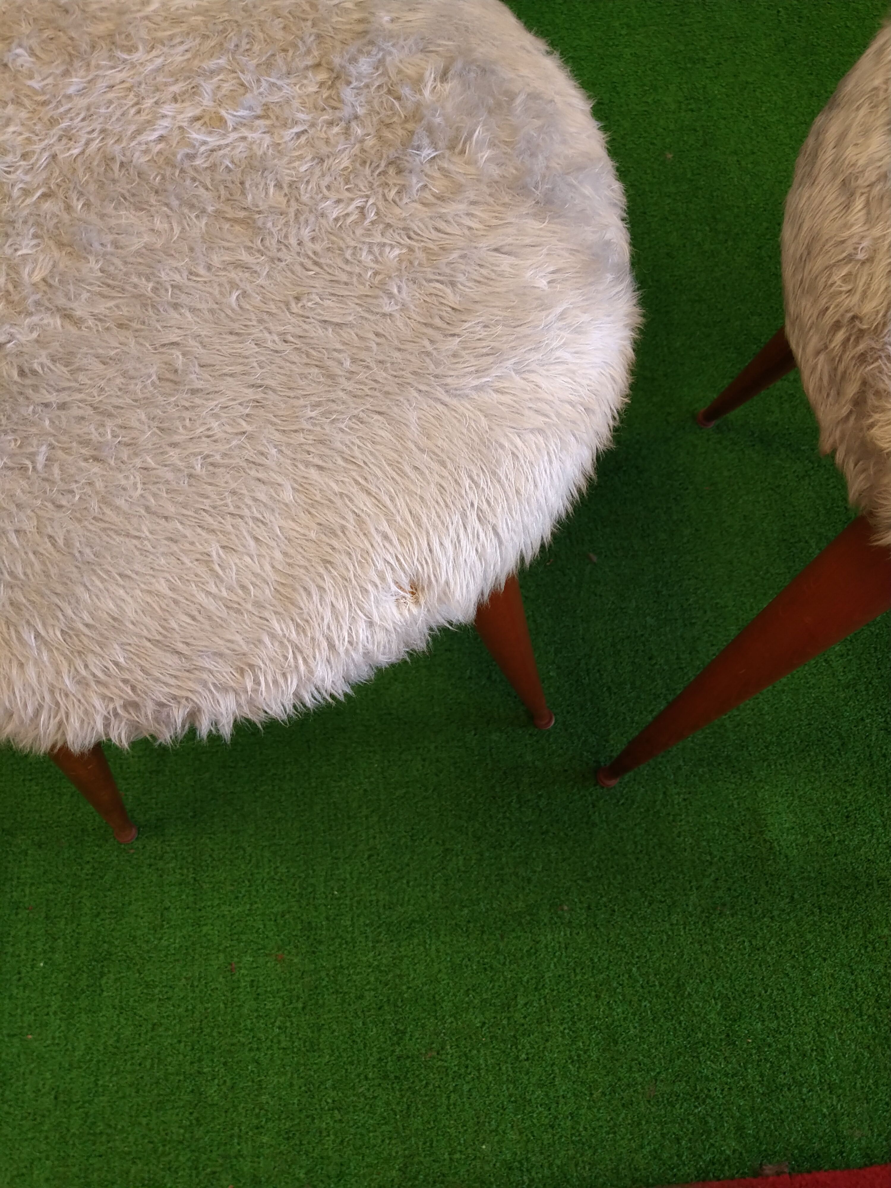 Pair of seventies chairs with compass feet