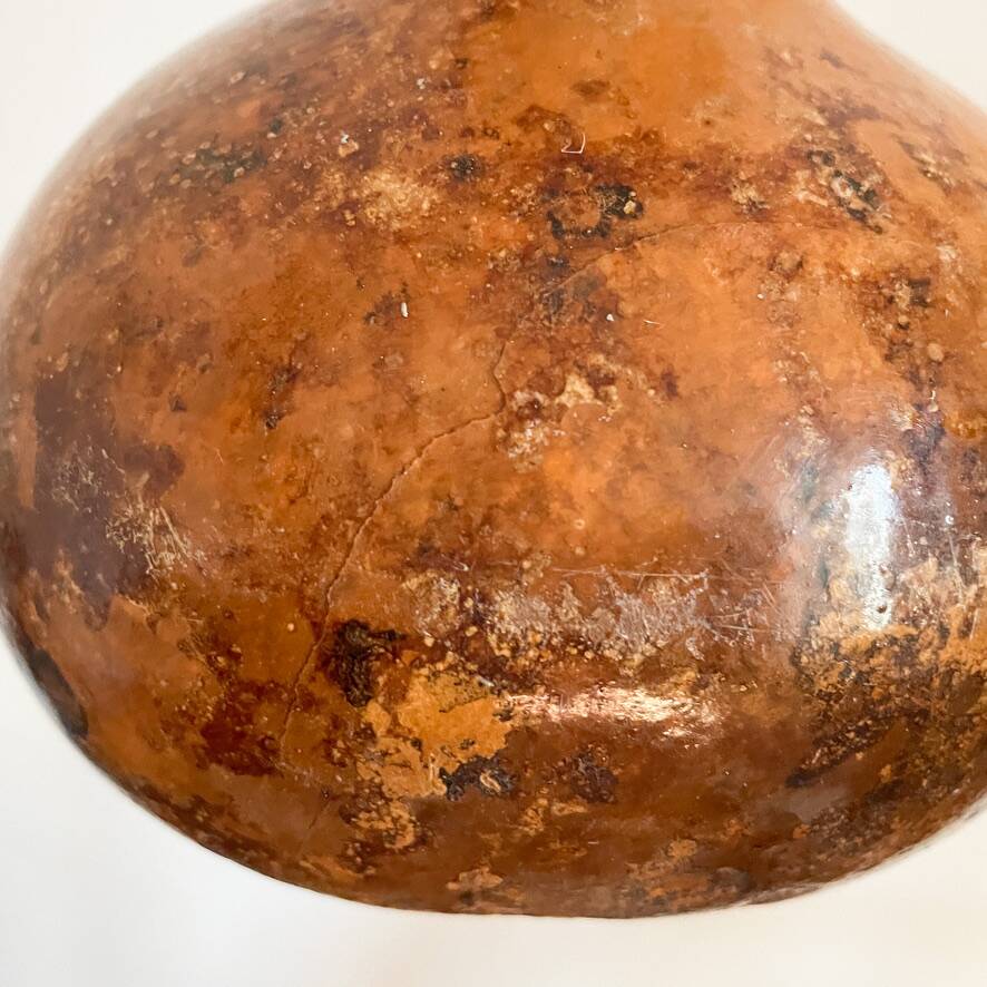 Calabash plant lamp