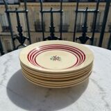 7 gien plates