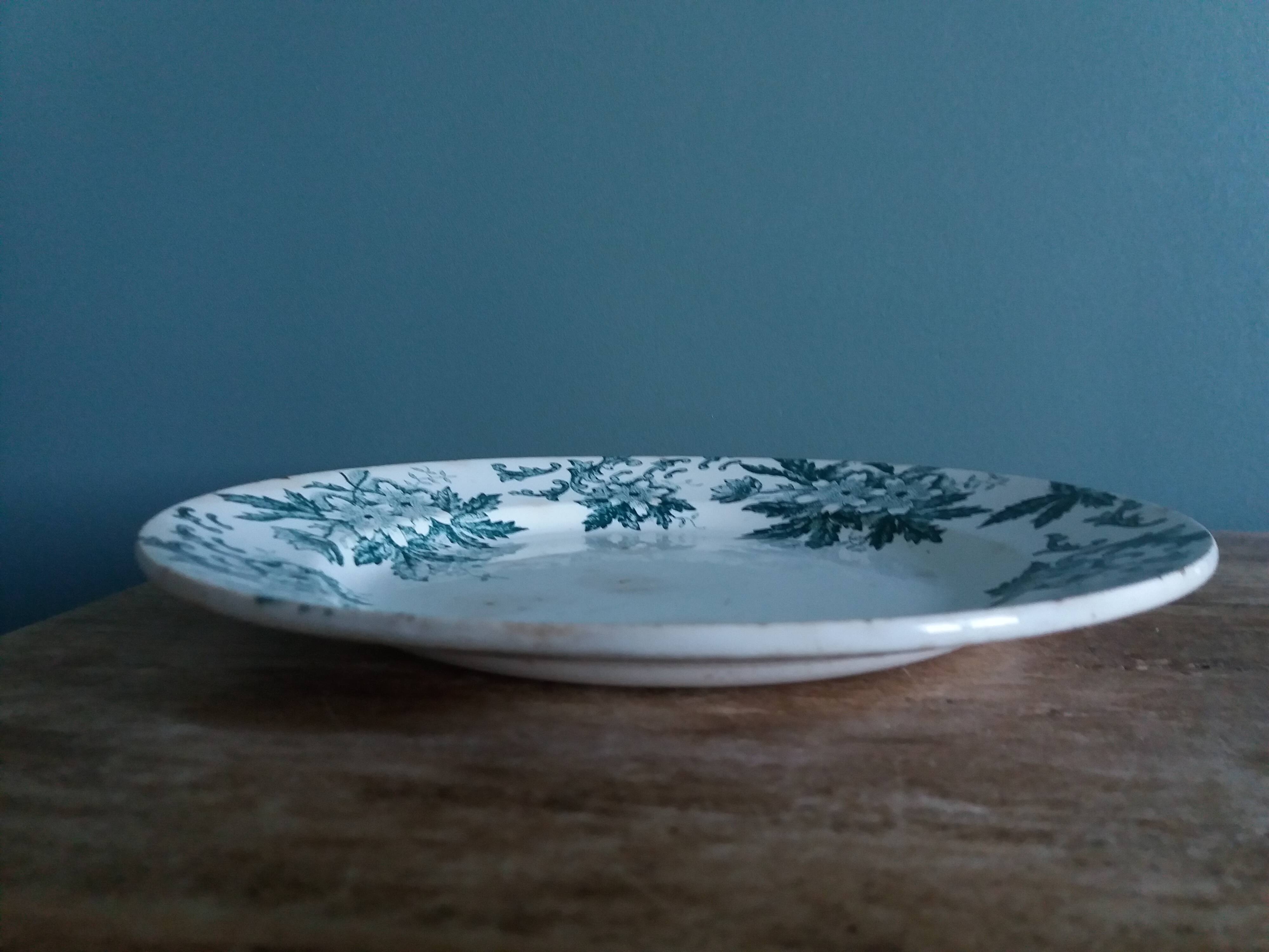 Saint-Amand ironstone dinner plate with anemone green decoration