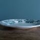 Saint-Amand ironstone dinner plate with anemone green decoration
