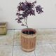 vintage rattan planter from the 50s