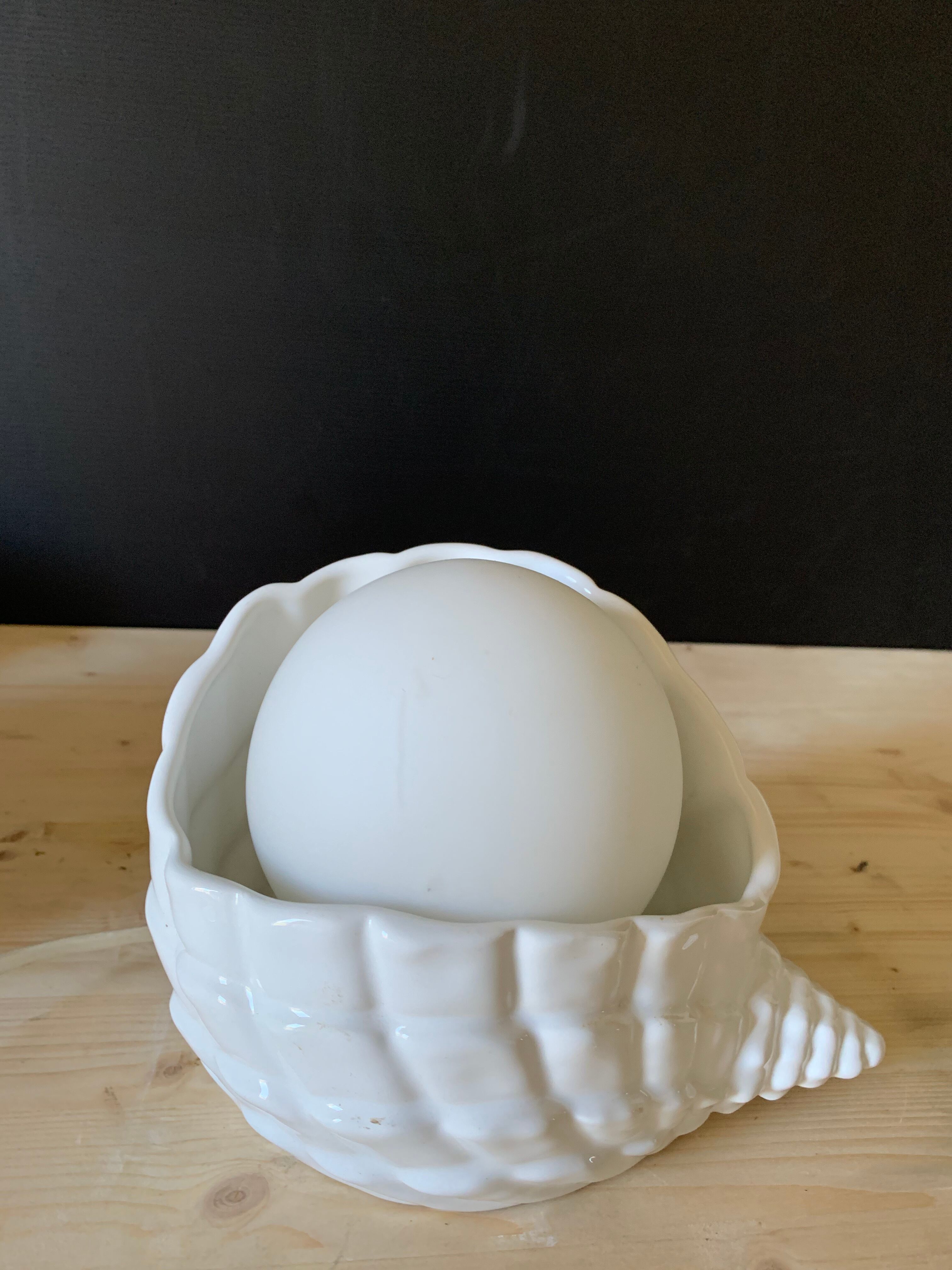 Shell lamp