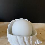 Shell lamp
