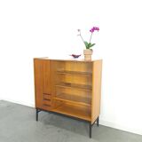 Design Mezulanik showcase with shelves