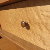 Bookcase 1900 Louis XVI style