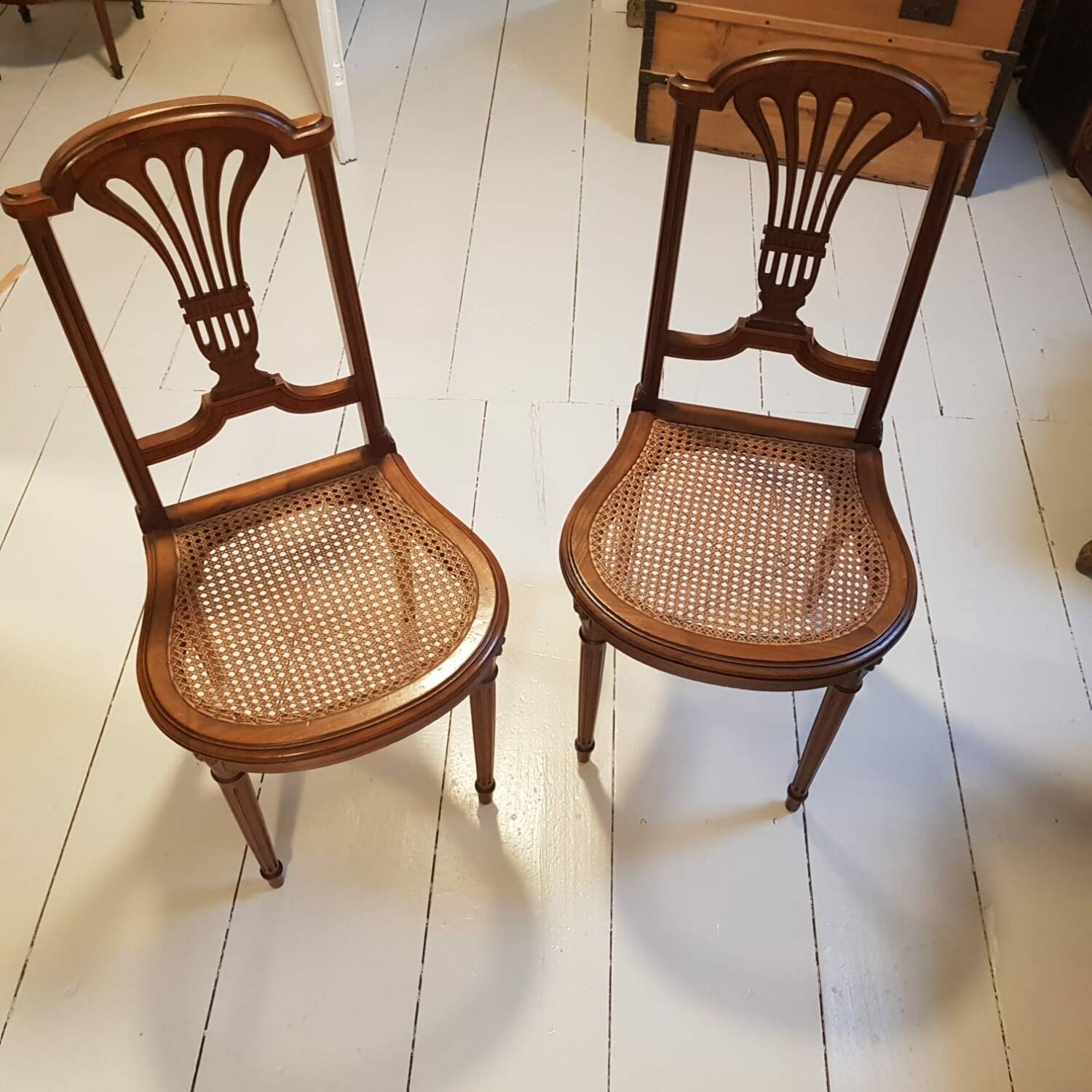 Louis XVI cane chairs